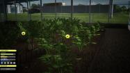 Agricultural Simulator 2013 - Steam Edition купить
