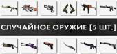 Купить CS:GO - Набор случайного оружия (5 шт.)