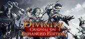 Divinity: Original Sin - Enhanced Edition купить