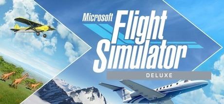 Microsoft Flight Simulator Deluxe Game of the Year Edition