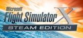 Microsoft Flight Simulator X: Steam Edition купить