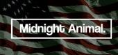 Купить Midnight Animal