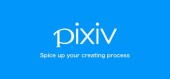 Купить Pixiv Premium - подписка на 12 месяцев