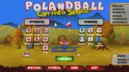 Polandball: Can into Space! купить