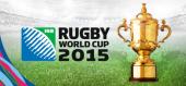 Купить Rugby World Cup 2015