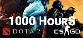 Steam Аккаунт 1000+ часов в CS GO (Counter-Strike 2) и 1000+ часов Dota 2 купить