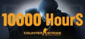 Купить Steam Аккаунт 10000+ часов в CS GO (Counter-Strike 2)