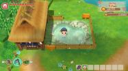 STORY OF SEASONS: Friends of Mineral Town купить
