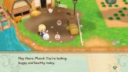 STORY OF SEASONS: Friends of Mineral Town купить