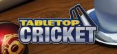 Купить TableTop Cricket
