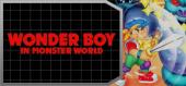 Купить Wonder Boy in Monster World