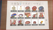 3D Organon VR Anatomy купить
