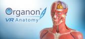 Купить 3D Organon VR Anatomy