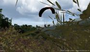 3D Paraglider купить