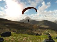 3D Paraglider купить