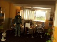 Alternativa купить