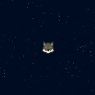 ASMR Universe купить