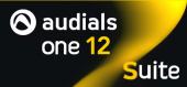 Купить Audials One 12 Suite