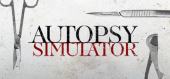 Купить Autopsy Simulator