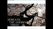 Beneath The Cherry Trees / 桜の樹の下には купить