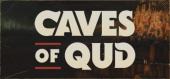 Купить Caves of Qud