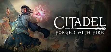 Citadel: Forged with Fire