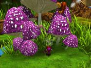 D.W.A.R.F.S. купить