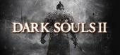 Купить Dark Souls II