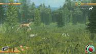 Deer Hunt Legends купить