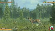 Deer Hunt Legends купить