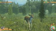 Deer Hunt Legends купить