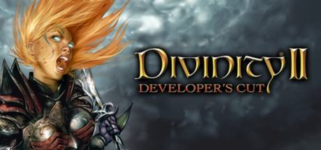 Divinity II: Developers Cut