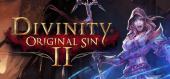 Купить Divinity: Original Sin 2