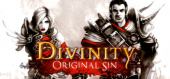 Купить Divinity Original Sin