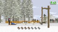 Dog Sled Saga купить