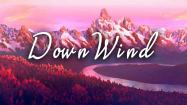 DownWind купить