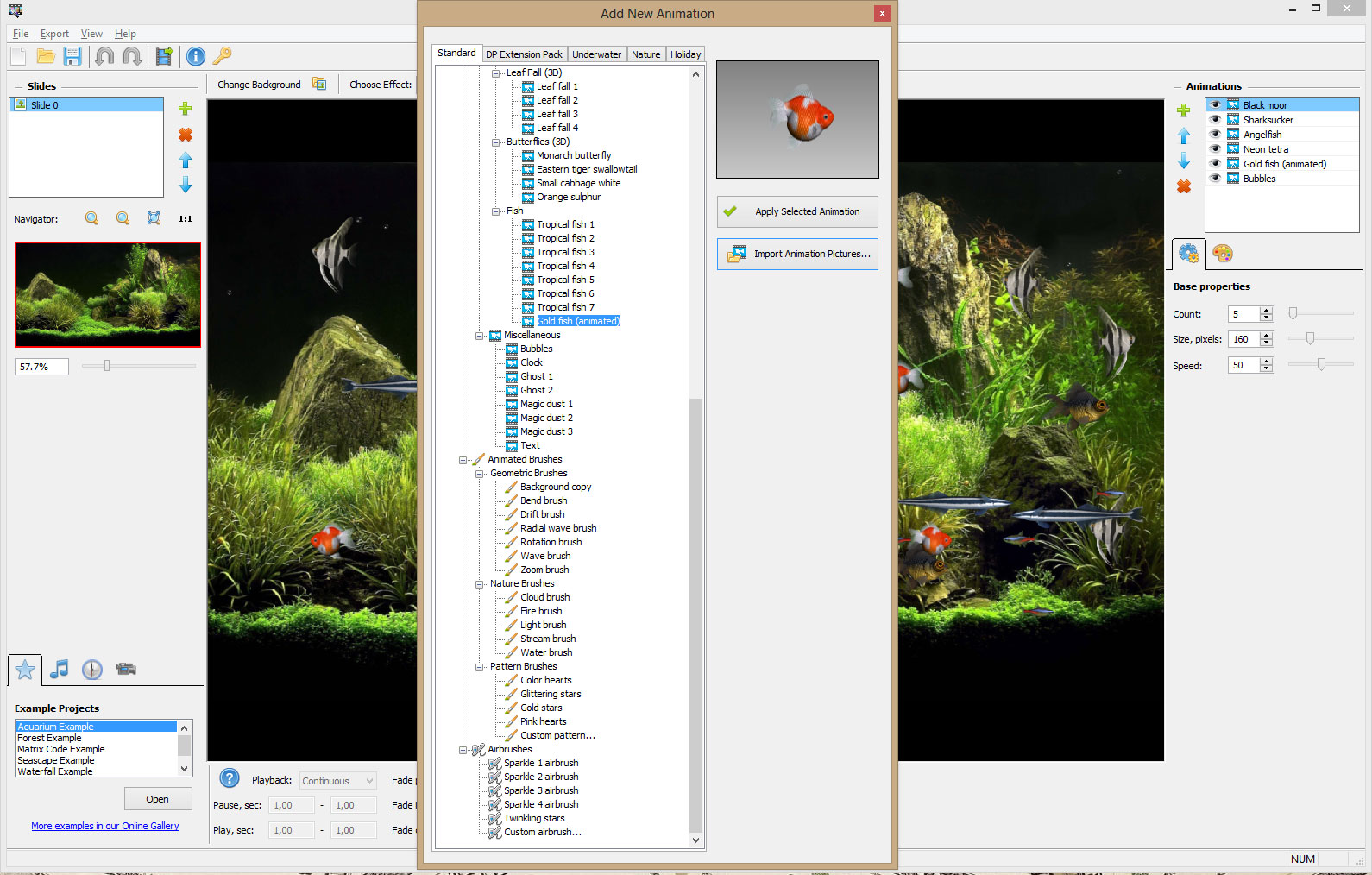 DP Animation Maker 3.5.19 instal the last version for windows