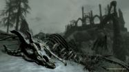The Elder Scrolls V: Skyrim - Dragonborn купить