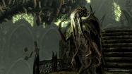 The Elder Scrolls V: Skyrim - Dragonborn купить