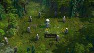 Druidstone: The Secret of the Menhir Forest купить