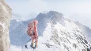 EVEREST VR купить