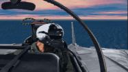 Fleet Defender: The F-14 Tomcat Simulation купить