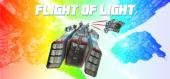 Купить Flight of Light