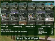 Flower Shop: Summer In Fairbrook купить