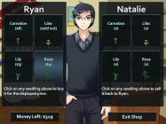 Flower Shop: Winter In Fairbrook купить