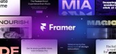 Framer Mini, Basic, Pro - Подписка на 1/12 месяцев купить