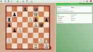 FritzChess 15 купить