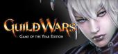 Купить Guild Wars Game of the Year Edition