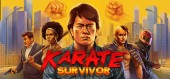 Karate Survivor купить