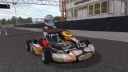Kart Racing Pro купить